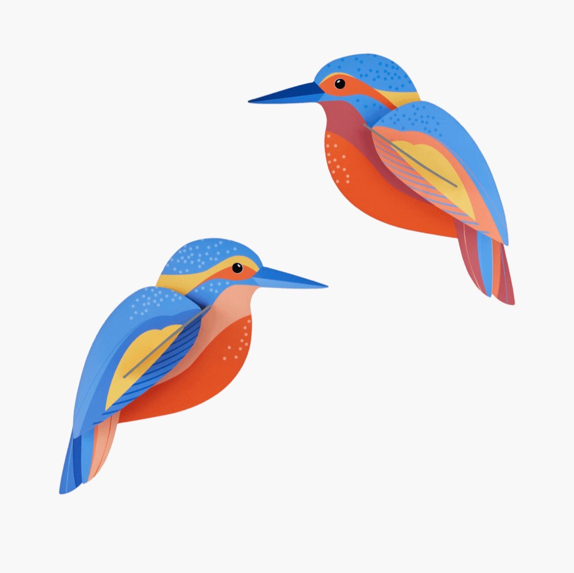 Studio Roof - Kingfishers