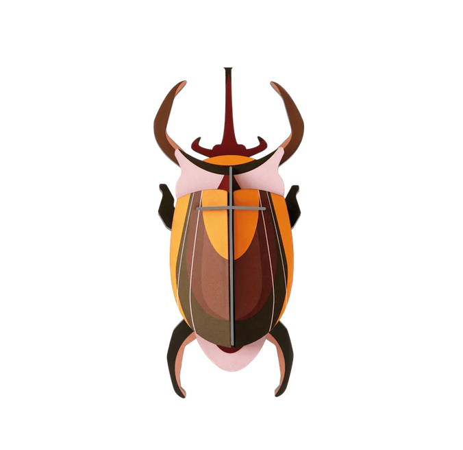 Studio Roof - Elephant Beetle