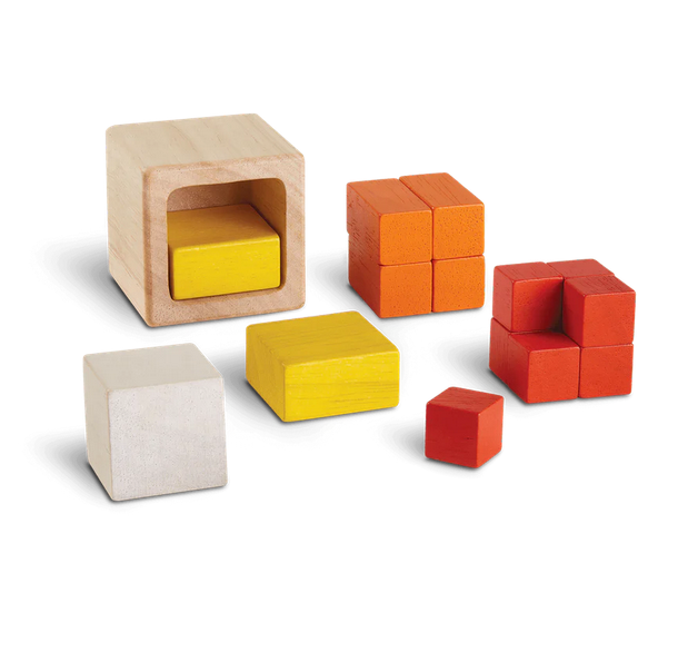 Fraction Cubes by Plantoys