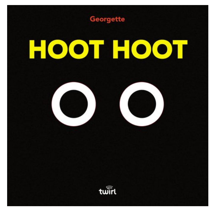 Hoot Hoot Board Book