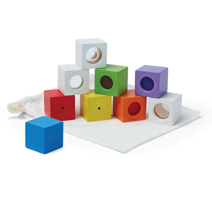 Plan Toys Activity Blocks