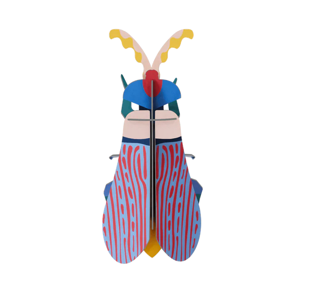 Studio Roof - Striped Wing Beetle