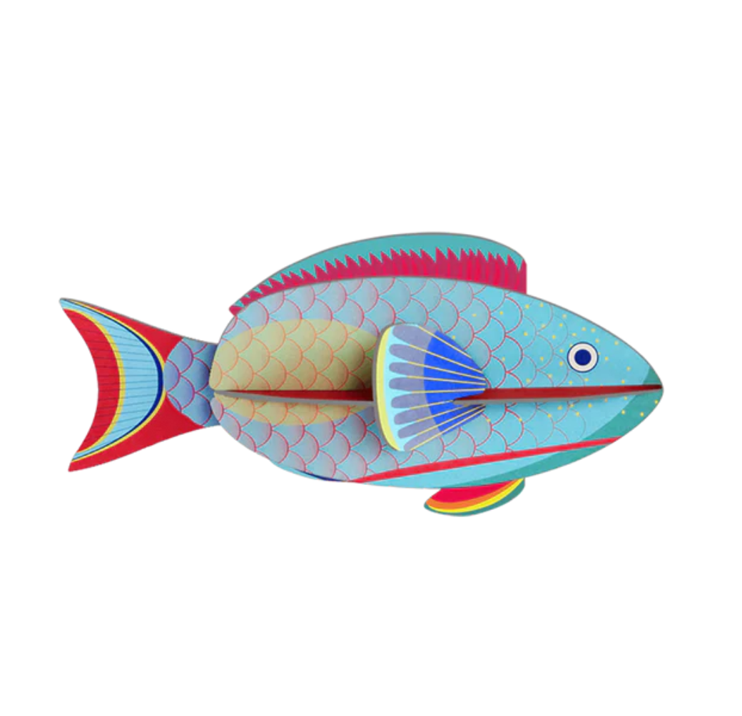 Studio Roof - Parrotfish