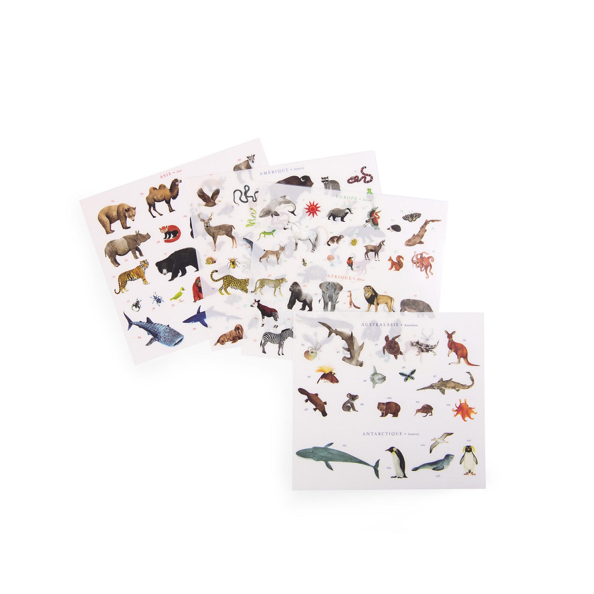 Tout Autour Du Monde - World Map With Transfers By Moulin Roty