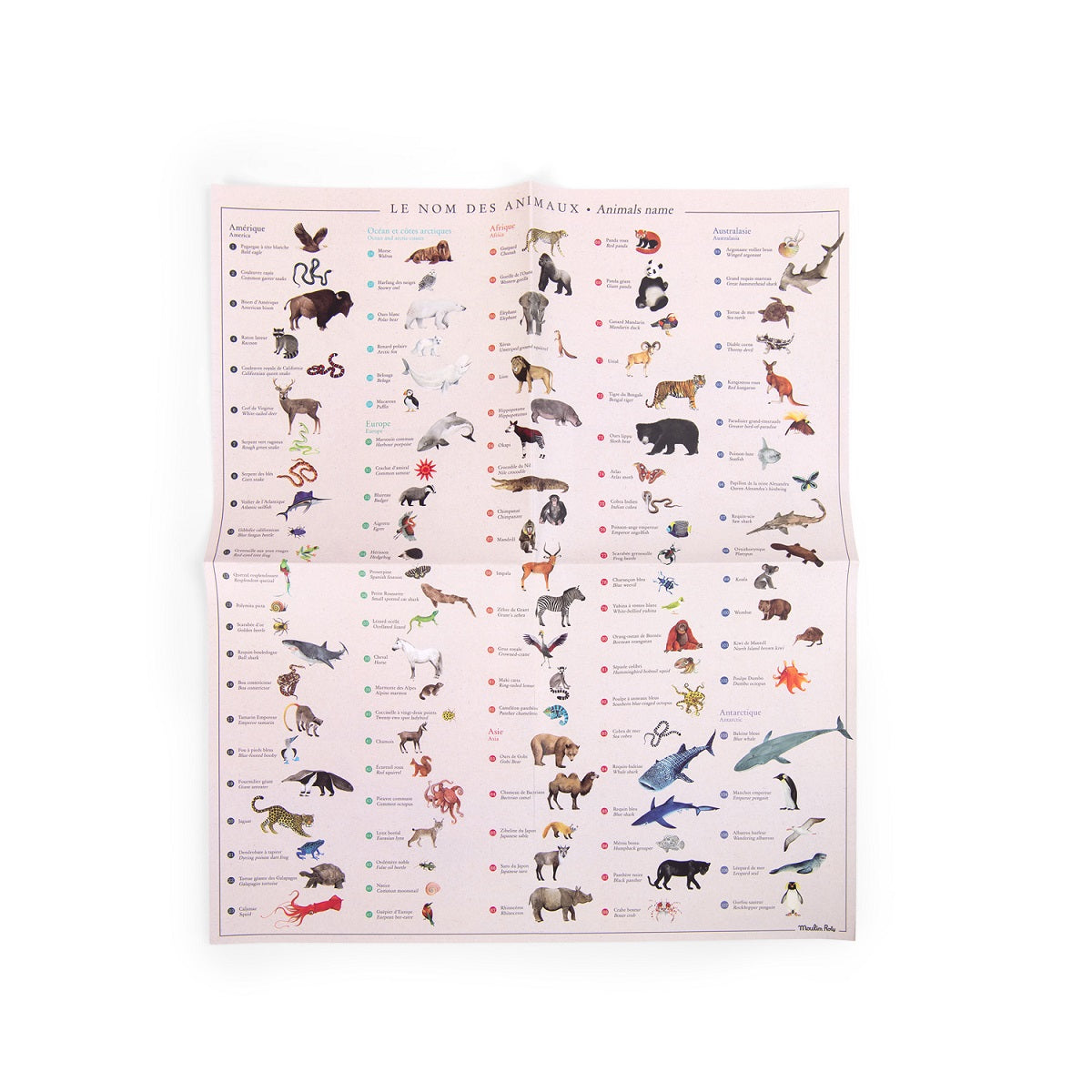 Tout Autour Du Monde - World Map With Transfers By Moulin Roty