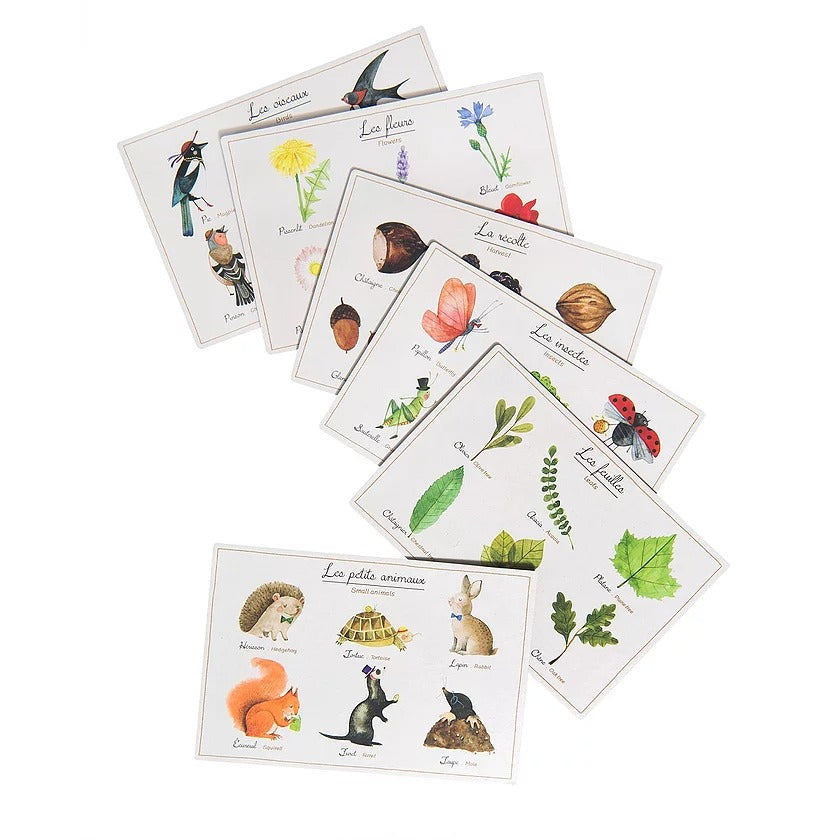 Le Botaniste - nature lotto (bingo) game By Moulin Roty