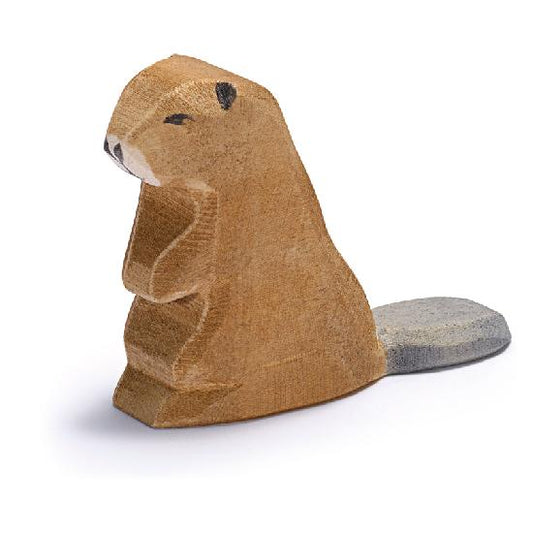 Beaver sitting By Ostheimer