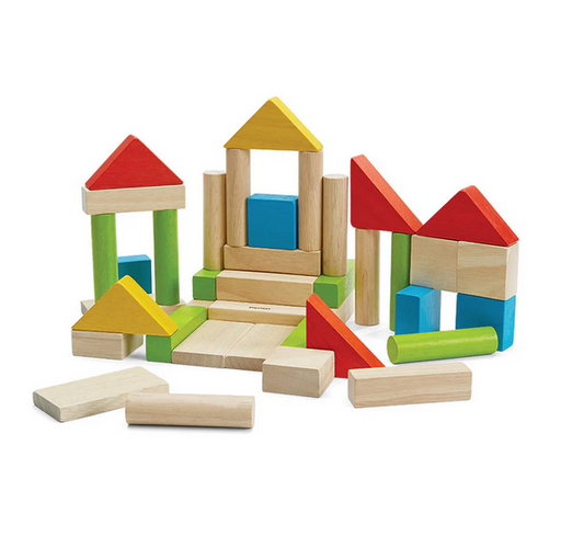 40 Unit Blocks by Plan Toys