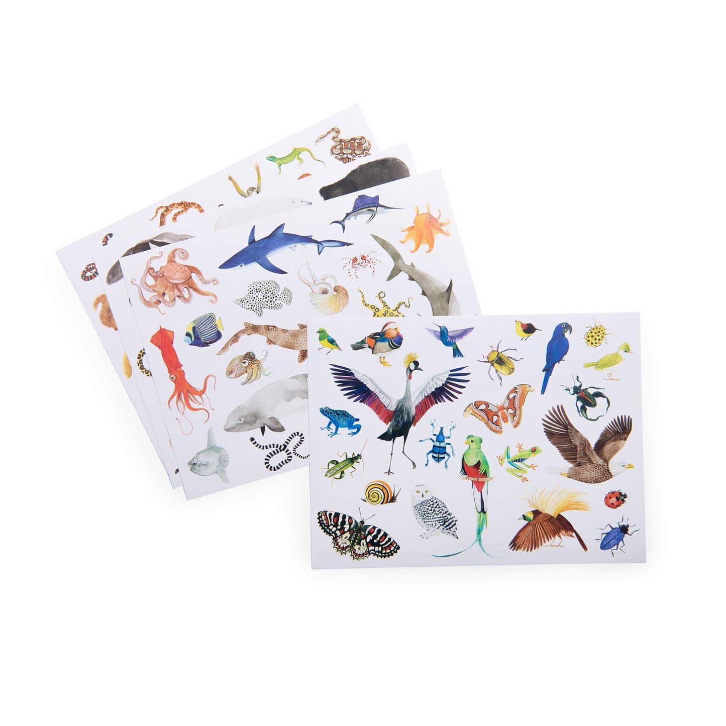 Tout Autour Du Monde - Pack of 78 Stickers By Moulin Roty