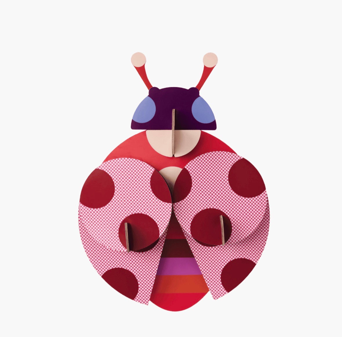 Studio Roof - Dotted Lady