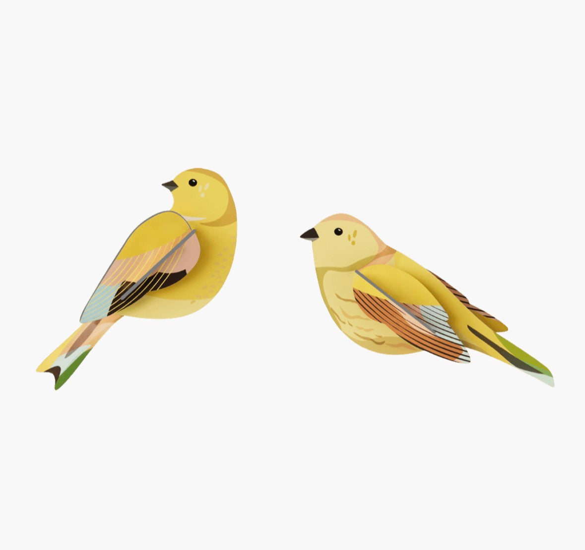 Studio Roof - Citrinaella Pair