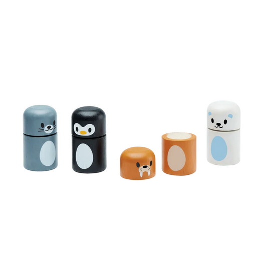 Plan Toys Arctic Animal Matching