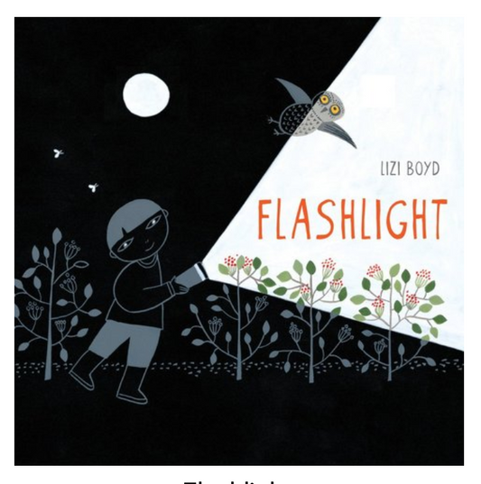 Book Flashlight by Lizi Boyd