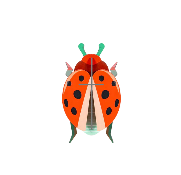 Studio Roof - Coccinelle Rouge