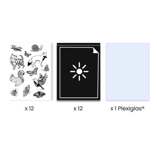 Cyanotype / Starter kit by Djeco