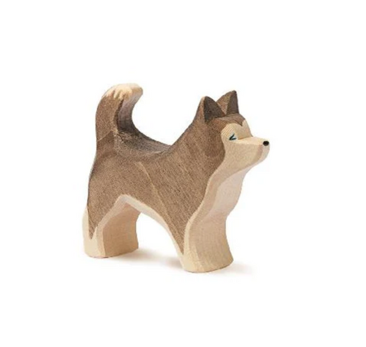 Dog - Sled, Standing by Ostheimer