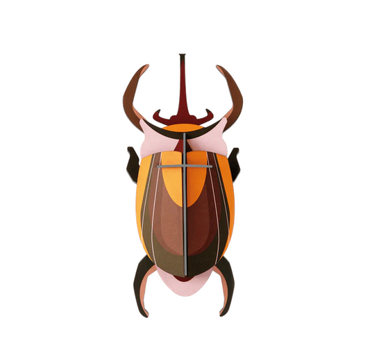 Studio Roof - Elephant Beetle