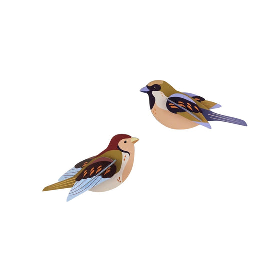Studio Roof - Sparrows
