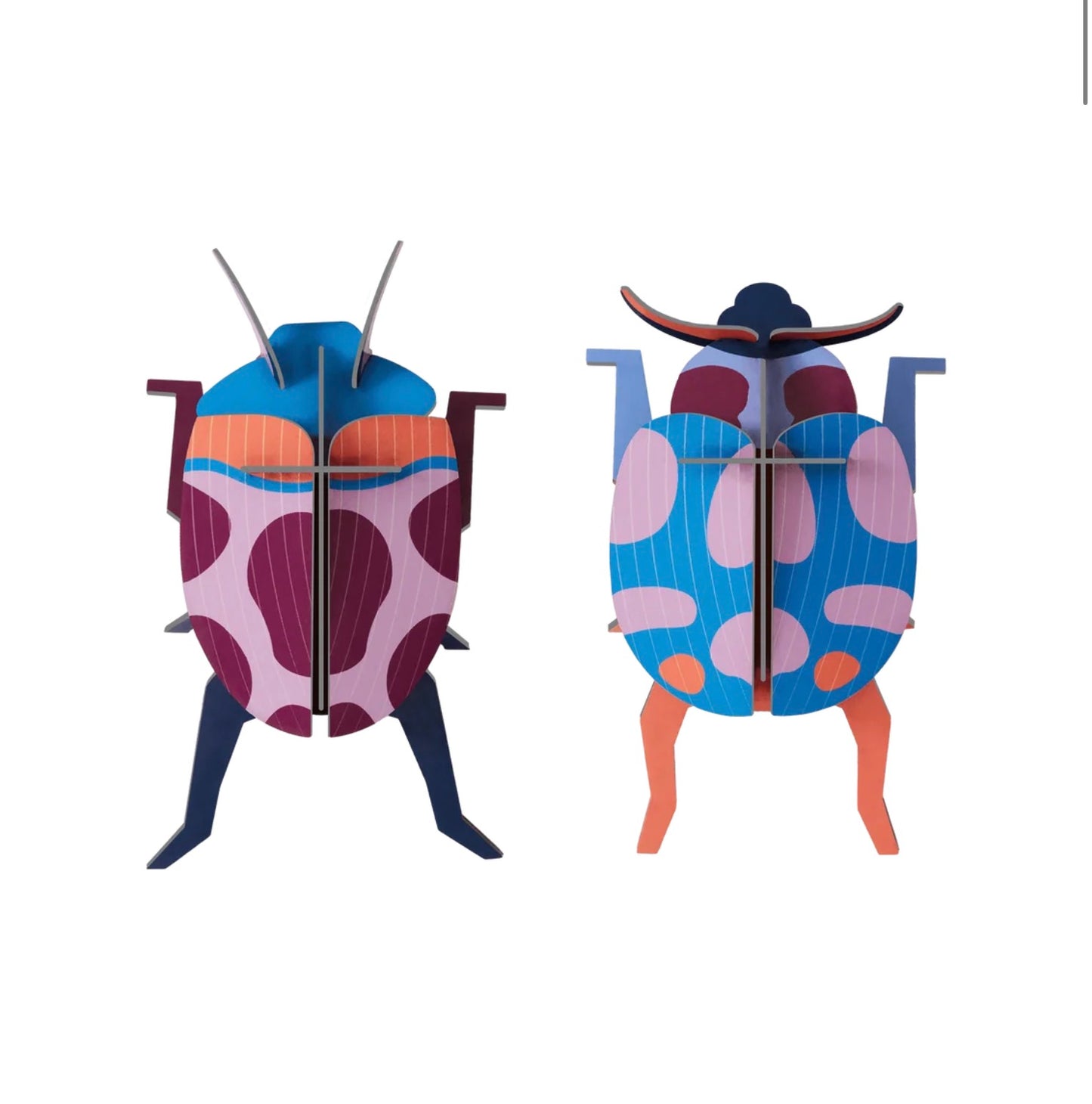 Studio Roof -Coccinelle Couple