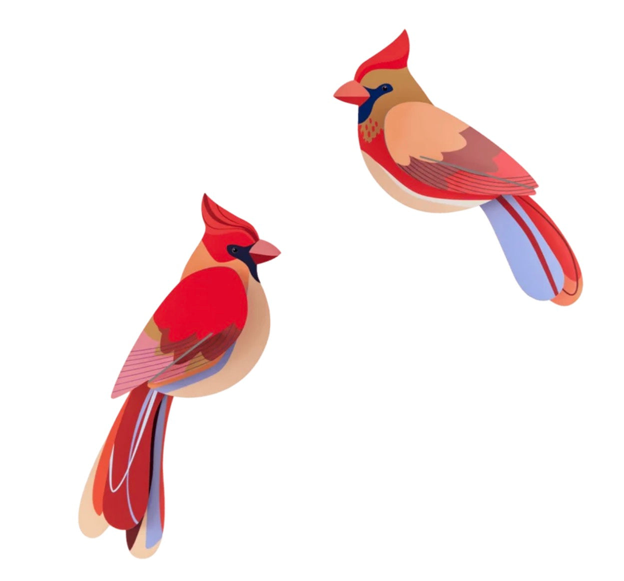 Studio Roof - Cardinals