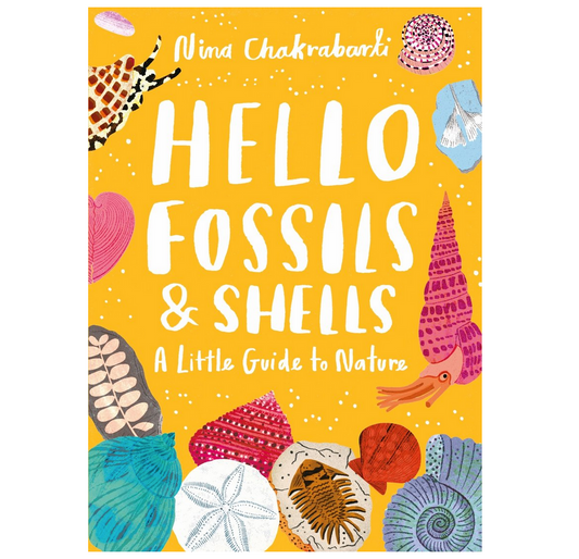 Hello Fossils and Shells