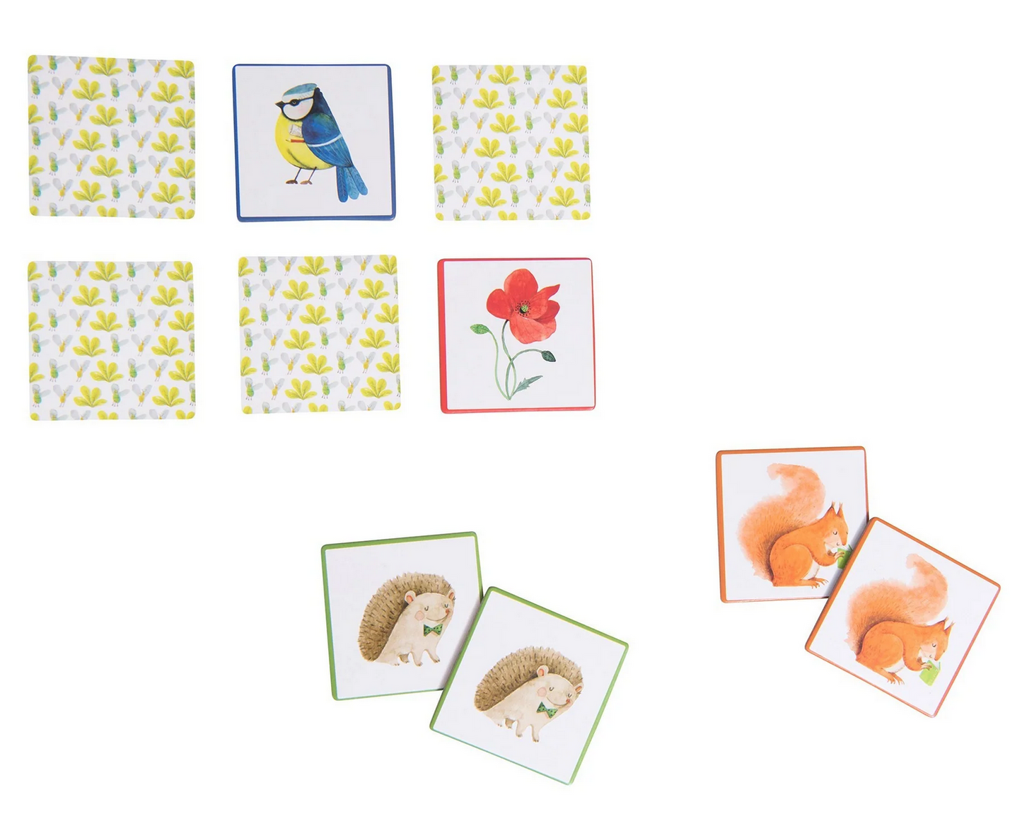 Le Botaniste - Nature Memory Game  By Moulin Roty