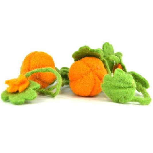 Mini Pumpkin by Papoose