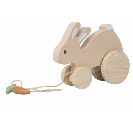Pull Along Rabbit by Egmont