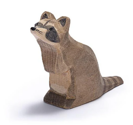 Raccoon sitting by Ostheimer