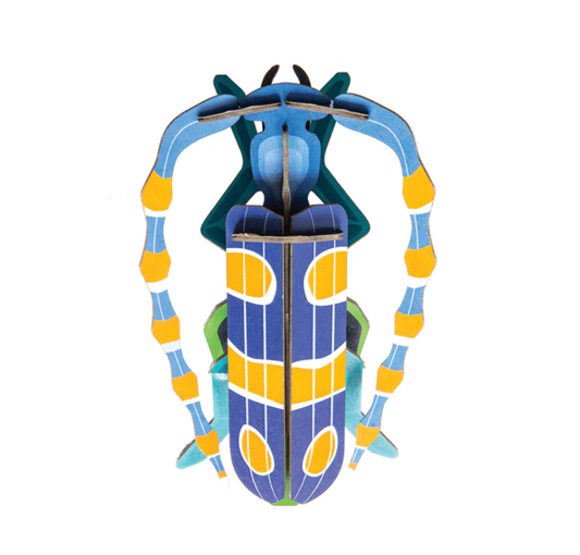 Studio Roof - Rosalia Beetle