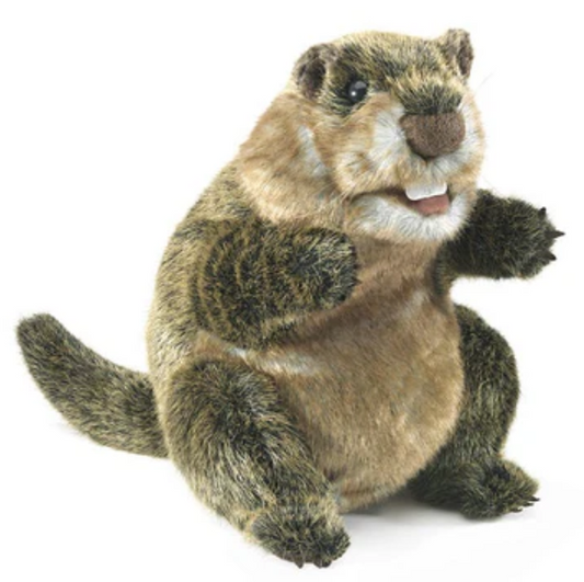 Groundhog by Folkmanis Puppets