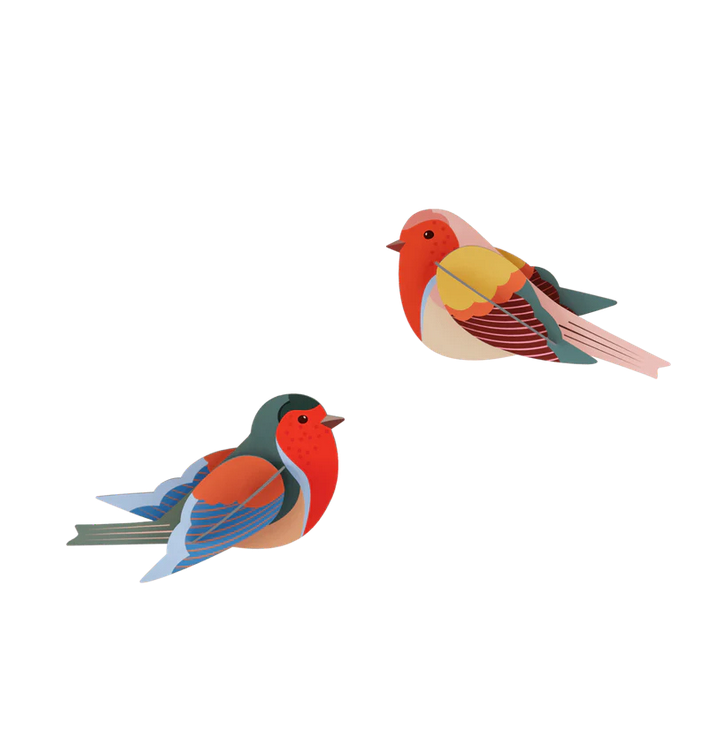 Studio Roof - Robins