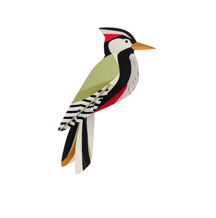 Studio Roof - Woodpecker