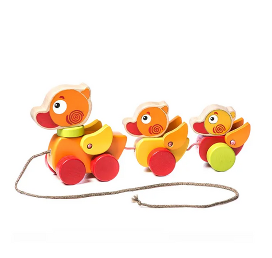 Walk-A-Long Traveling Ducks by Cubika