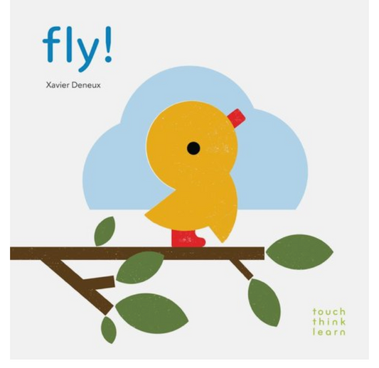 TouchThinkLearn: Fly! by Xavier Deneux