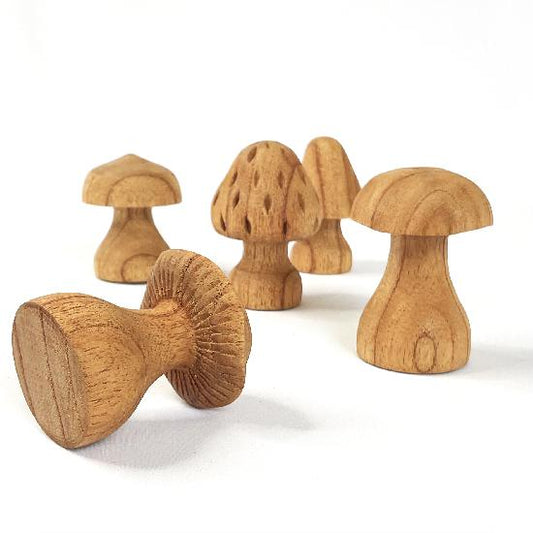 Wood Mushrooms Hand Carved 5pcs By Papoose