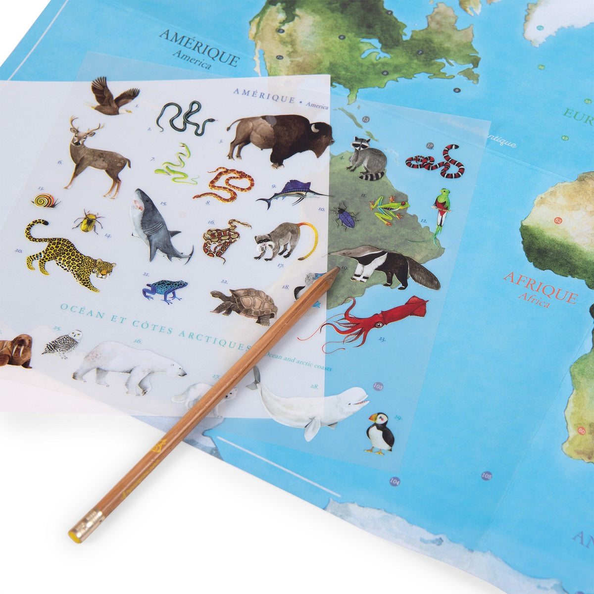 Tout Autour Du Monde - World Map With Transfers By Moulin Roty