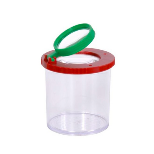 Insect Box By Moulin Roty